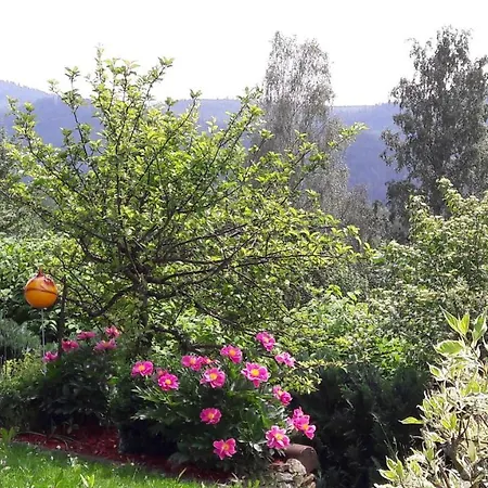 Ferienwohnung-panoramablick-1 Holiday home *
