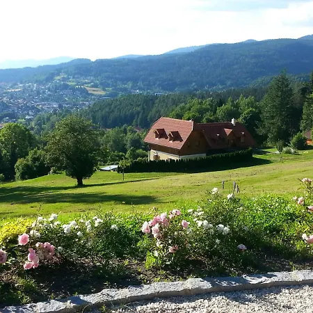 Ferienwohnung-panoramablick-1 Holiday home Bodenmais